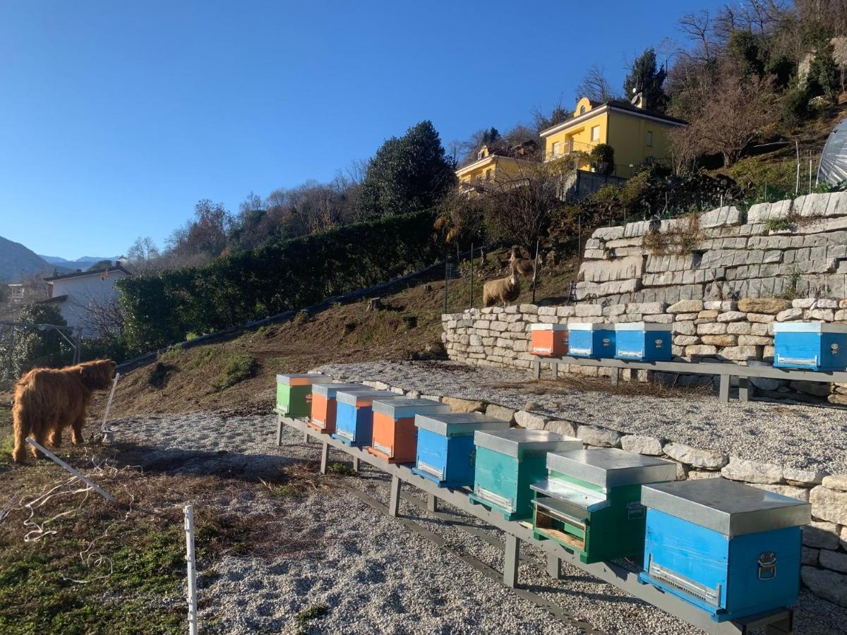 Sole Appartement Verbania Buitenkant foto